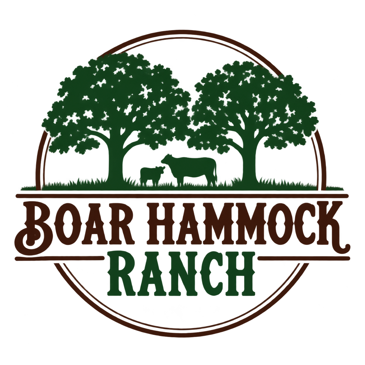 boarhammockranch.farm
